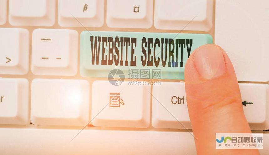 确保网站的安全性和稳定性，定期维护。