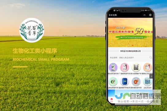 东莞小程序开发专业服务：从创意设计到上线运营，全方位满足您的移动互联网需求